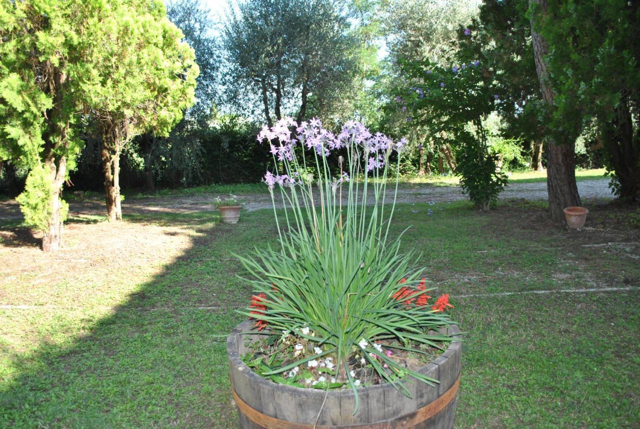 Agriturismo La Nicchia カステルヌオーヴォ・ベラルデンガ エクステリア 写真